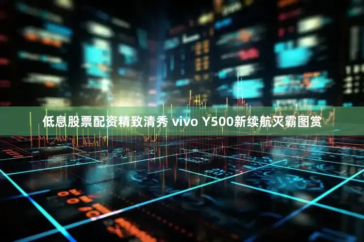 低息股票配资精致清秀 vivo Y500新续航灭霸图赏